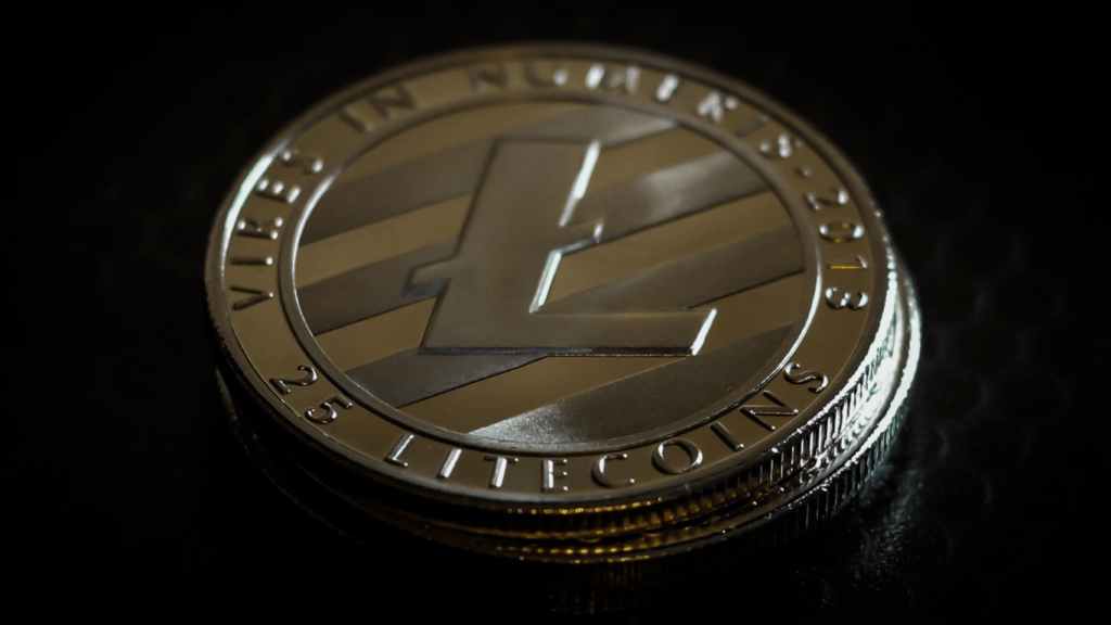 a litecoin coin