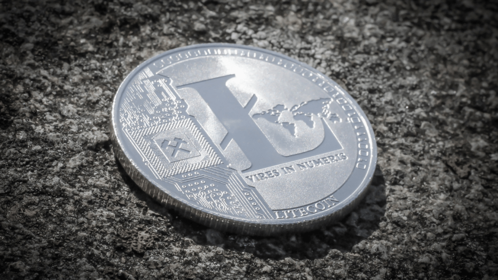 a litecoin coin