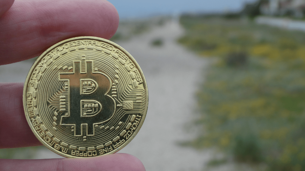 a person holding a crypto