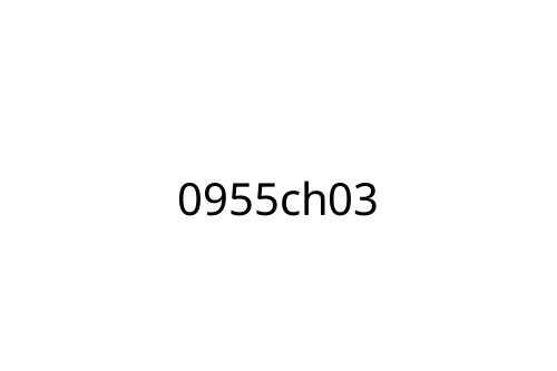 0955ch03