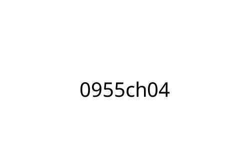 0955ch04