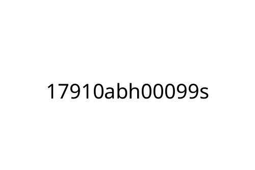 17910abh00099s