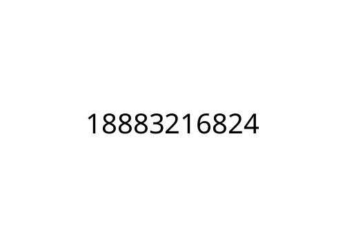 18883216824