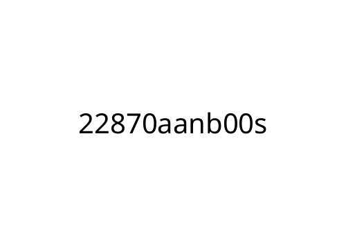 22870aanb00s