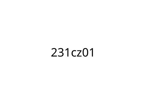 231cz01