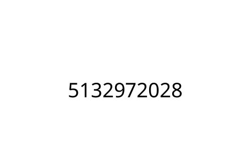 5132972028