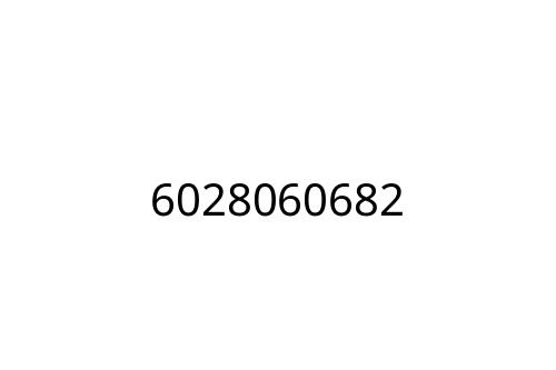 6028060682
