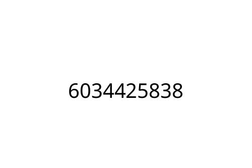 6034425838
