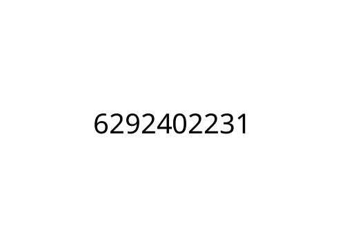 6292402231
