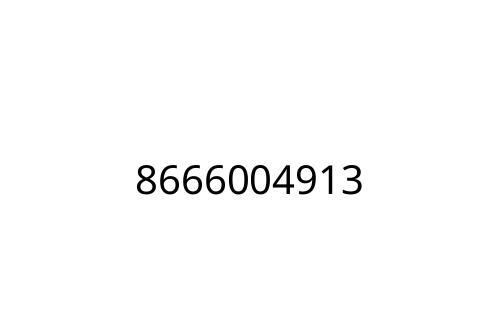 8666004913