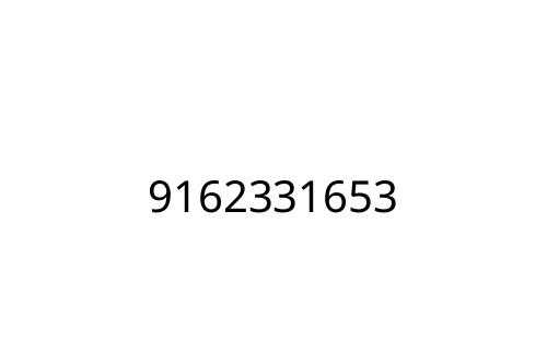 9162331653