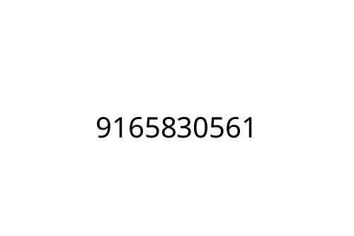 9165830561