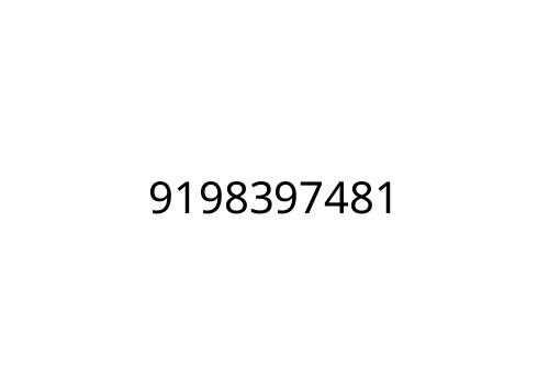 9198397481