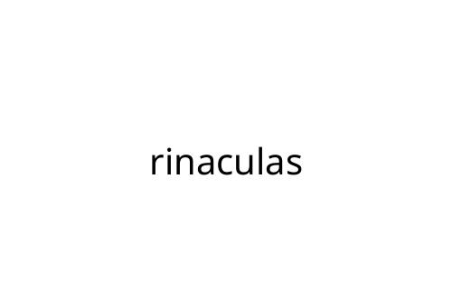 rinaculas