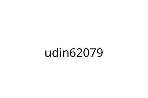 udin62079