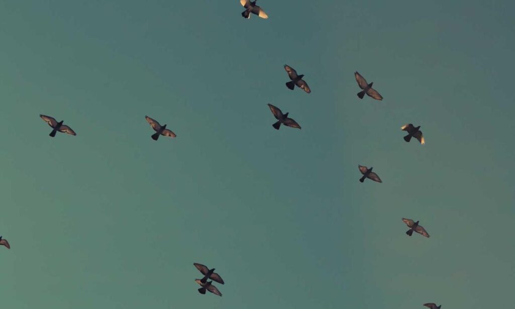 binance exchange drhcryptology