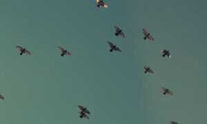 binance exchange drhcryptology