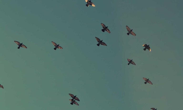 binance exchange drhcryptology