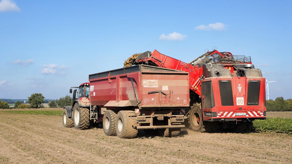 blockchain efficiency