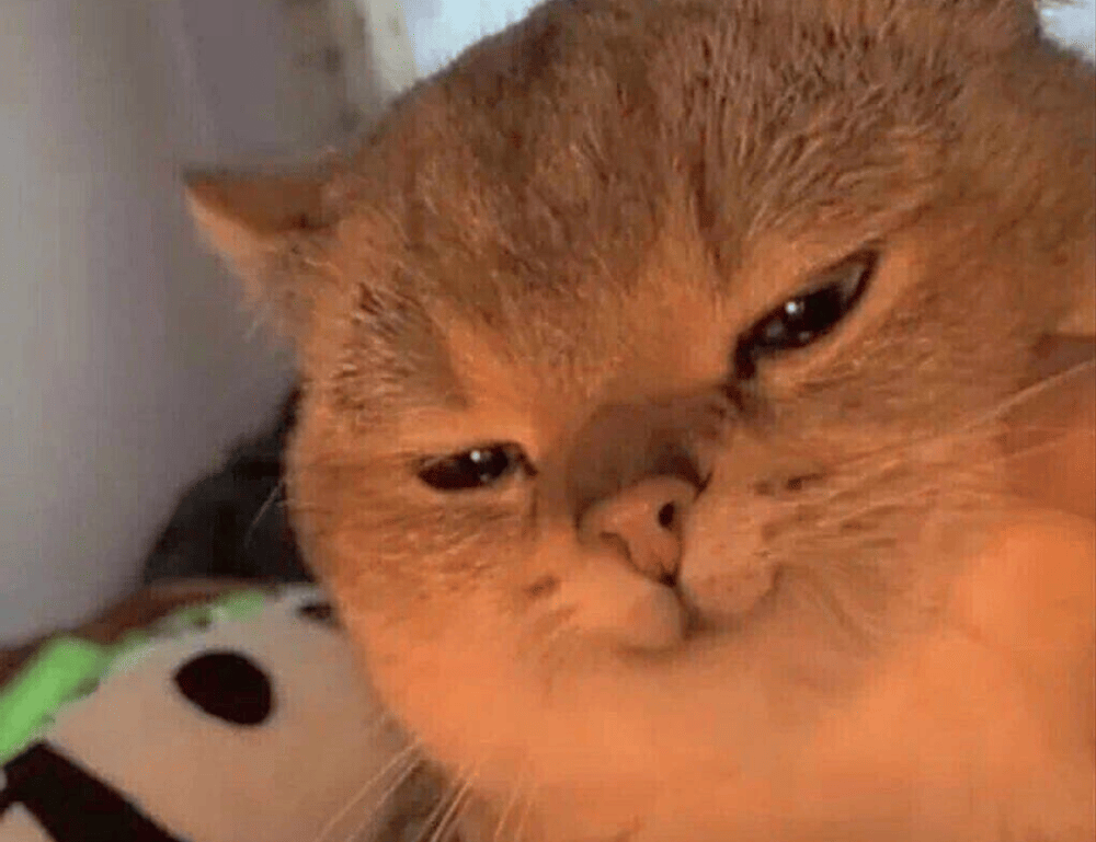 can goinbeens cook at home