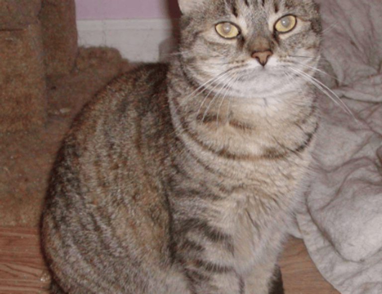 cryptocurrencies drhcryptology