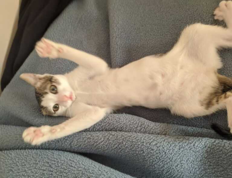 cryptocurrency advice drhcryptology