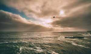 drhcryptology crypto guide by drhomey