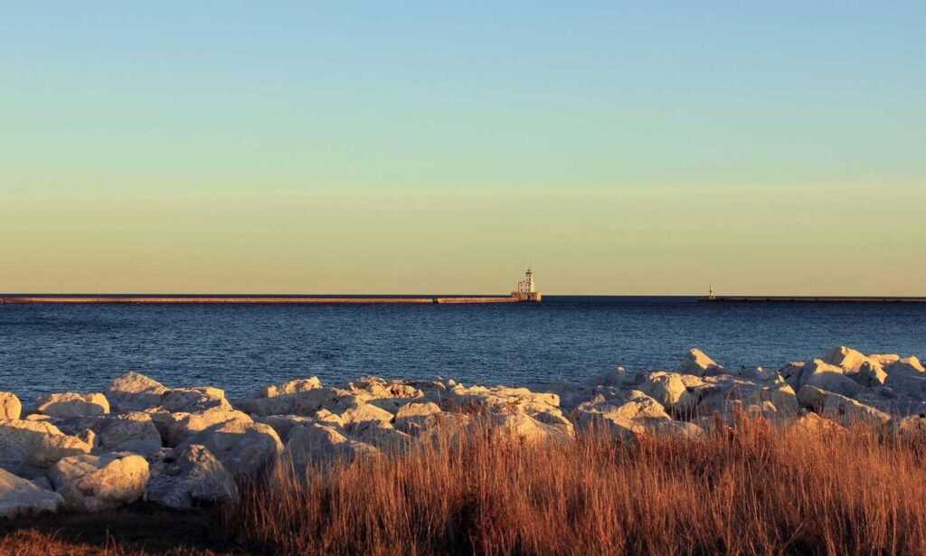 what crypto should i be investing in drhcryptology