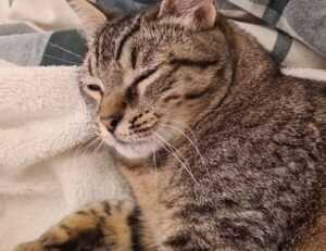 why do i keep failing in beatredwar