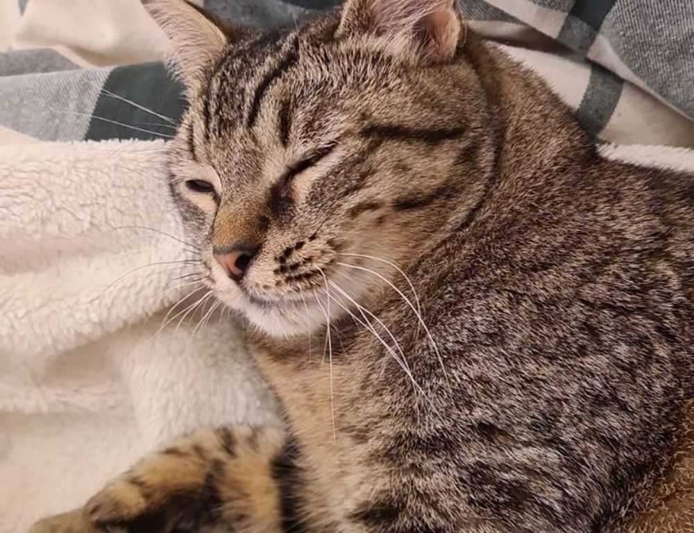 why do i keep failing in beatredwar