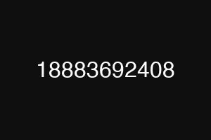 18883692408