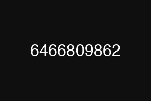6466809862