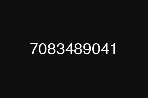 7083489041