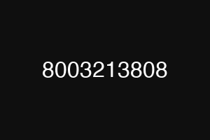 8003213808
