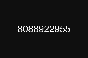 8088922955