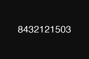 8432121503