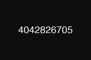 4042826705