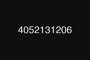 4052131206