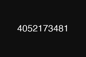 4052173481