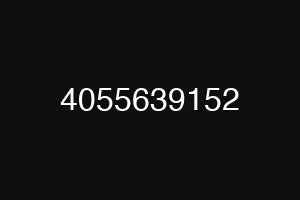 4055639152