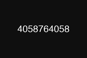 4058764058