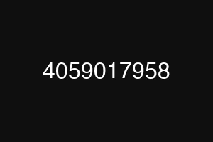 4059017958