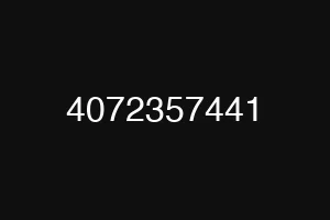 4072357441