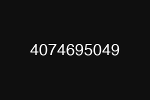 4074695049