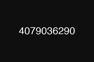 4079036290