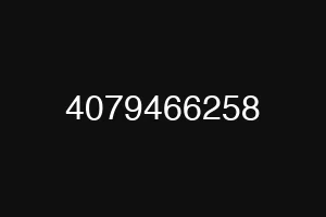 4079466258