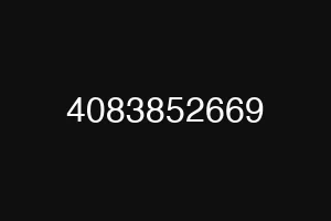 4083852669