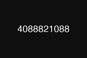 4088821088