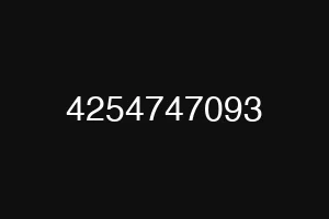4254747093
