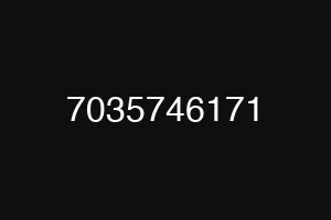 7035746171